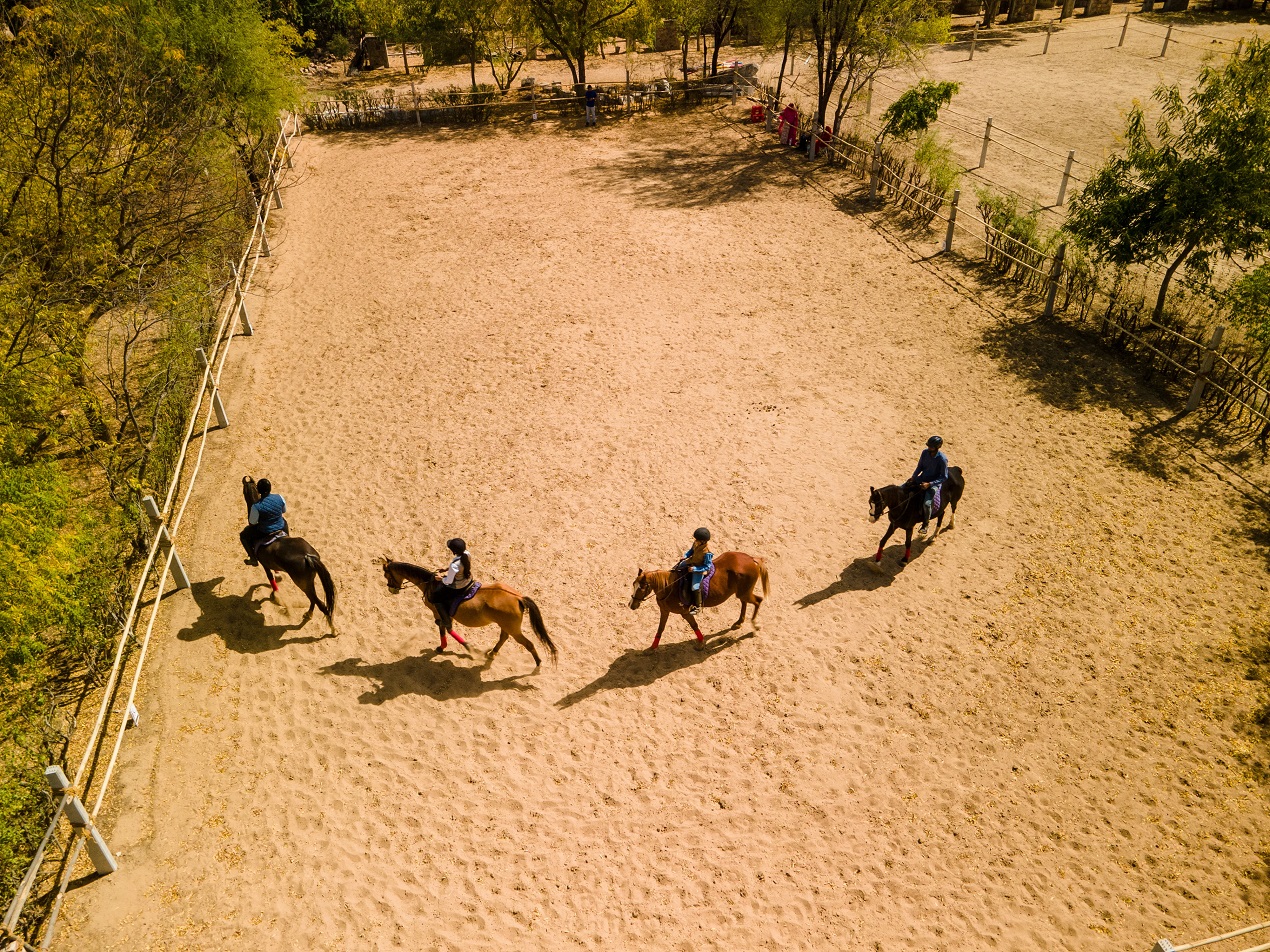 Budowa ujeżdżalni – na co zwrócić uwagę?